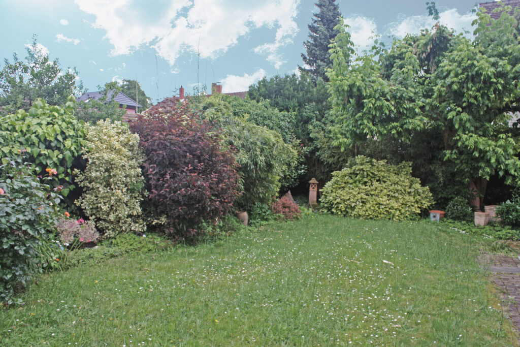 Blick in den Garten des Baugrundstücks in Oberursel.