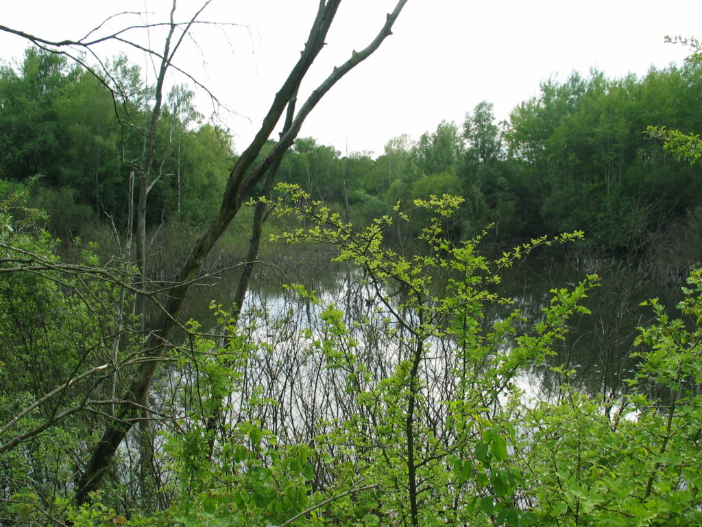 Foto vom nahegelegenen Weiher in Nidderau-Ostheim